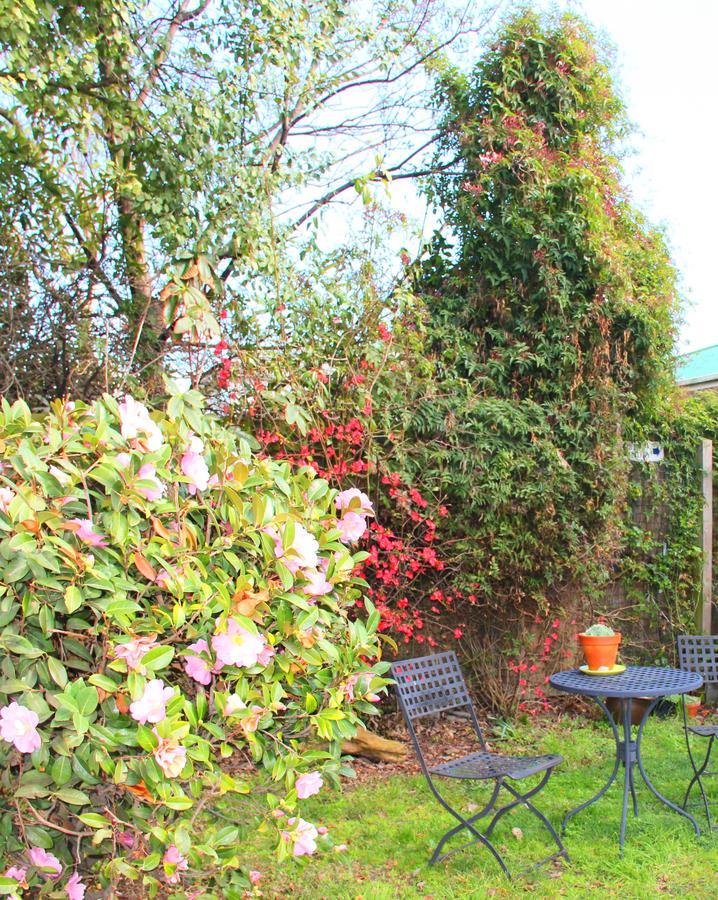 Bush Inn Court Motel Christchurch Luaran gambar